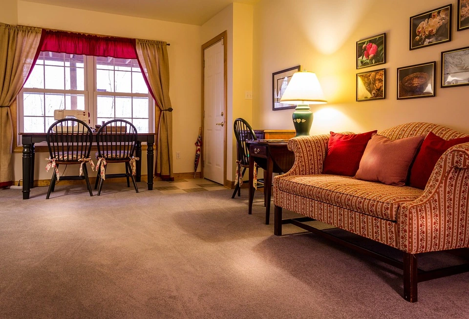 carpet colors for living room