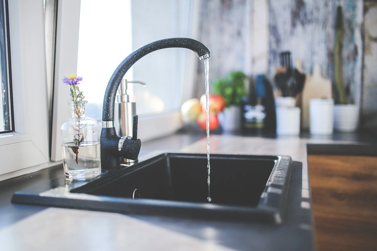 dishwasher backing up into sink