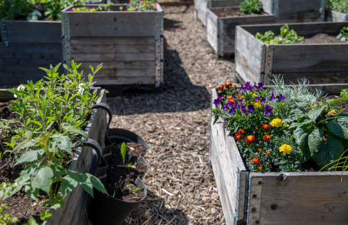 metal raised bed corners